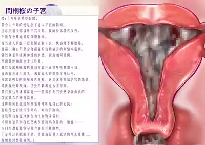 第37页 封面 - HaSM.cc