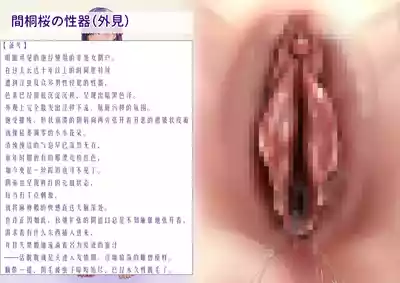 第21页 封面 - HaSM.cc