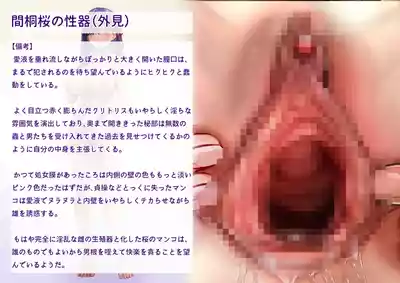第25页 封面 - HaSM.cc