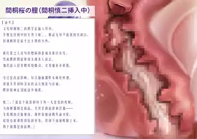 第37页 封面 - HaSM.cc