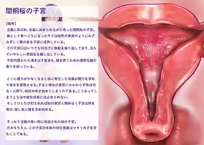 第45页 封面 - HaSM.cc