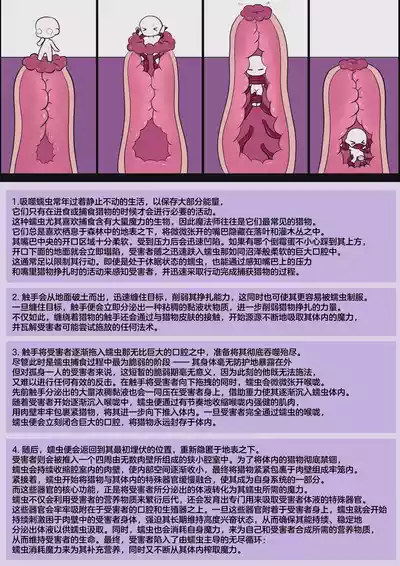 第33页 封面 - HaSM.cc