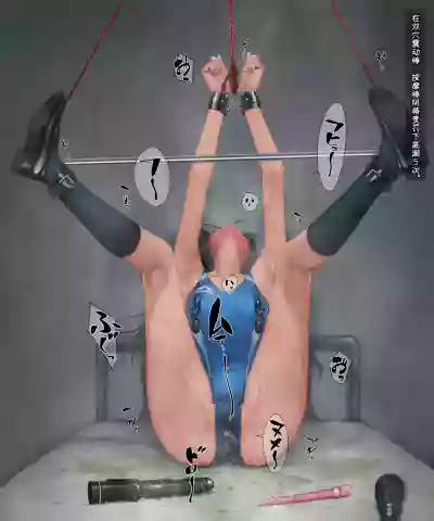 第333页 封面 - HaSM.cc
