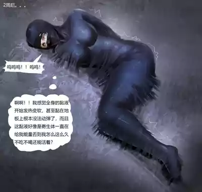 第13页 封面 - HaSM.cc