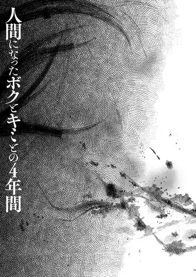 第37頁 封面 - HaSM.cc