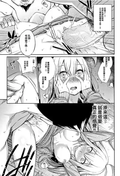 第41页 封面 - HaSM.cc