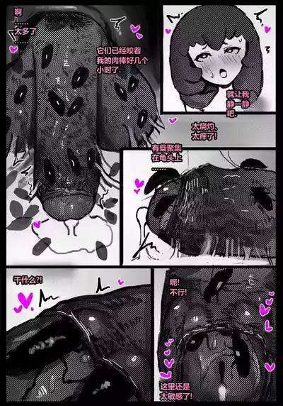 第21頁 封面 - HaSM.cc