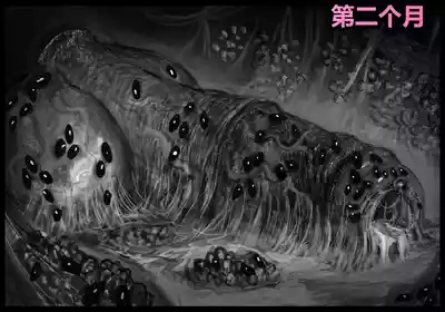 第61頁 封面 - HaSM.cc