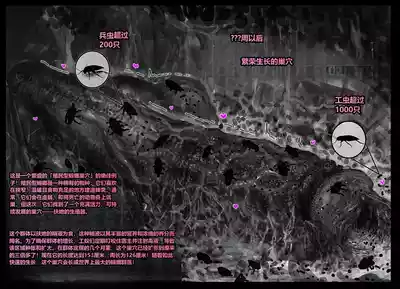 第65頁 封面 - HaSM.cc