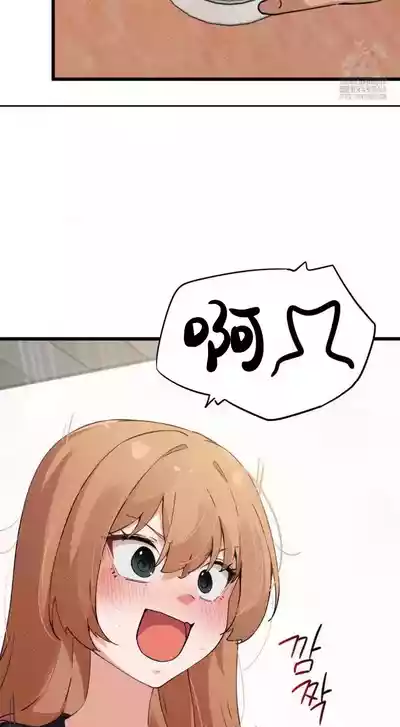 第249頁圖