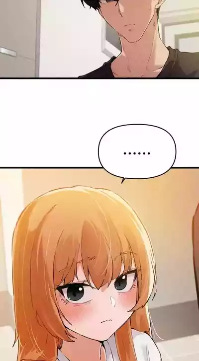 第305頁圖