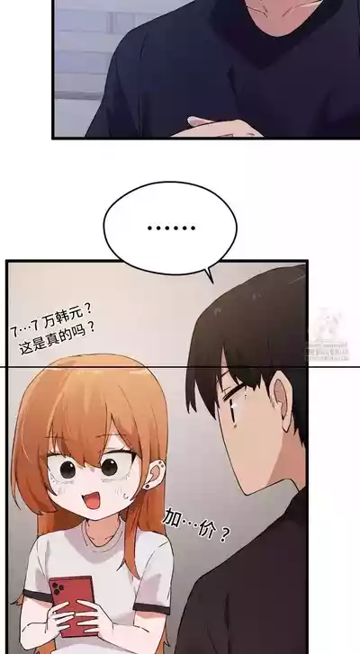 第333頁圖