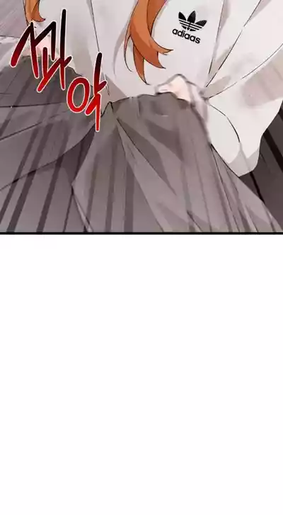 第513頁圖