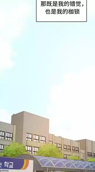 第525頁圖