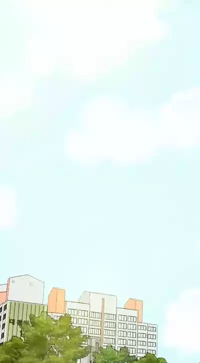 第537頁圖