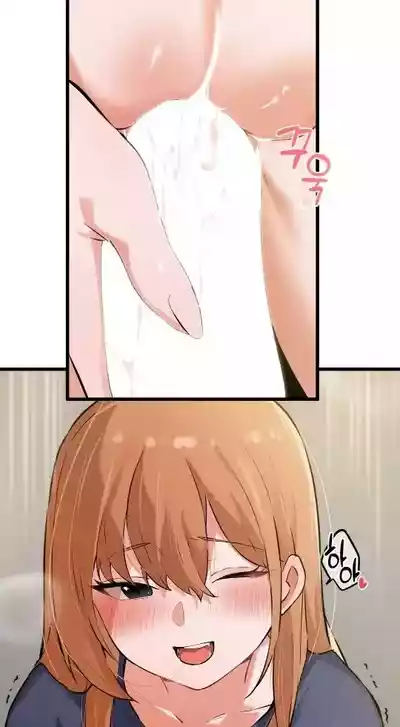 第613頁圖