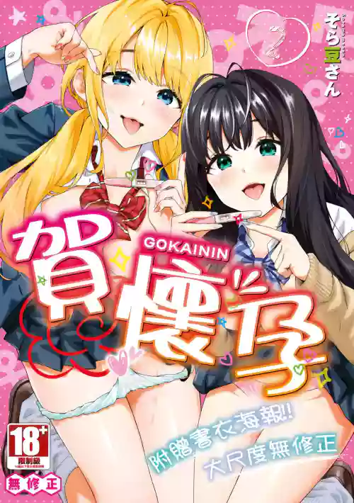 Go Kainin - Pregnancy2 | 賀懷孕2 封面 - HaSM.cc