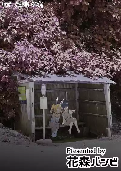 第293頁圖