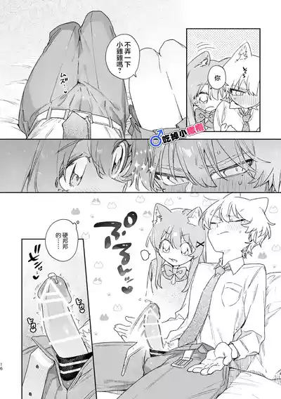 第17頁 封面 - HaSM.cc