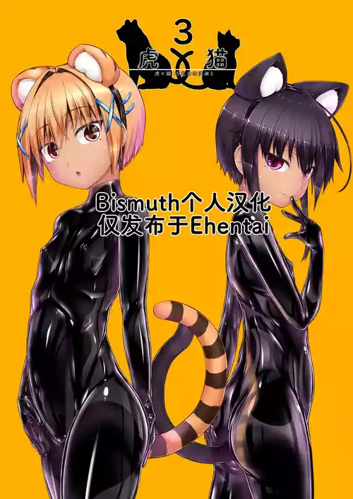 Tora × Neko Choco Ice 3 | 虎×猫 巧克力冰淇淋3 封面 - HaSM.cc