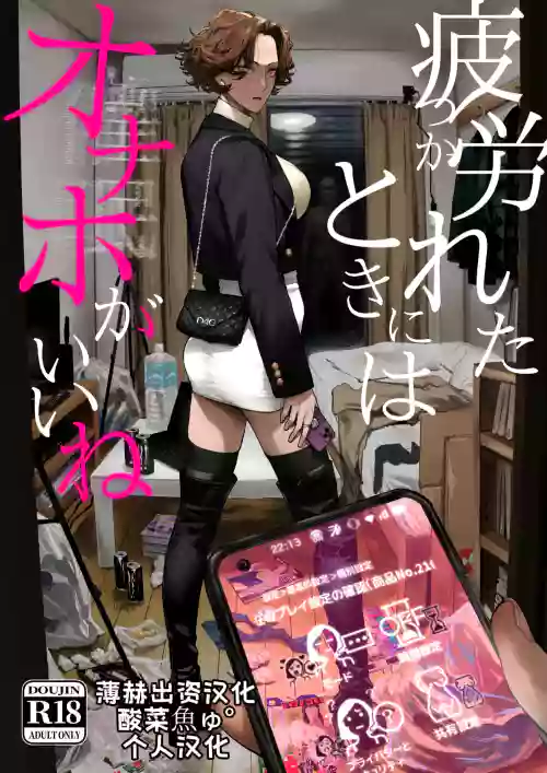 Tsukareta Toki ni wa Onaho ga Ii ne | 疲惫的时候还是飞机杯最棒呢 封面 - HaSM.cc