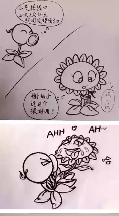 第13页 封面 - HaSM.cc