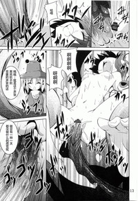 第13页图