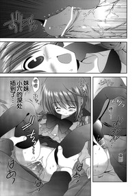 第17页图