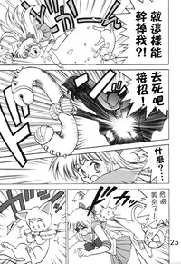 第25頁圖