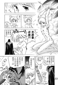 第33頁圖