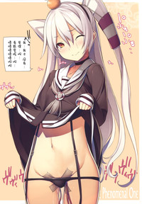 第17页图