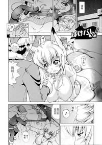 第41頁圖