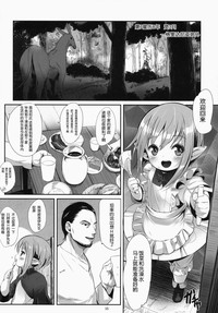 第17页图