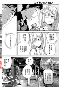 第241頁圖