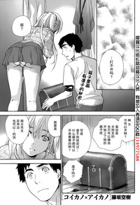 第381頁圖