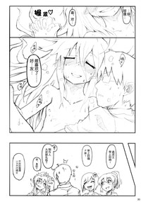 第33页图