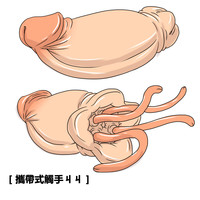 第1页图