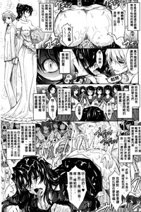 第217頁圖