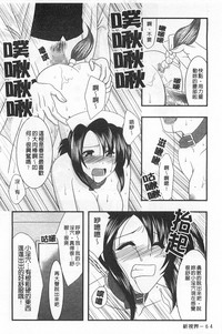 第65頁圖