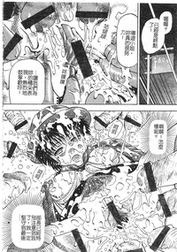 第133頁圖