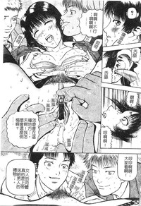 第29頁圖