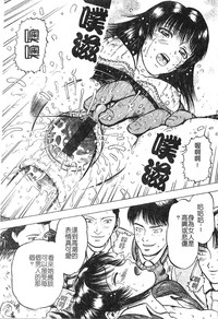 第33頁圖