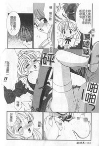 第113頁圖