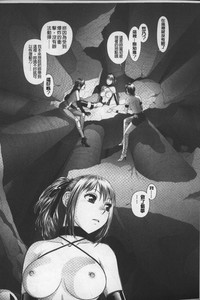 第213頁圖