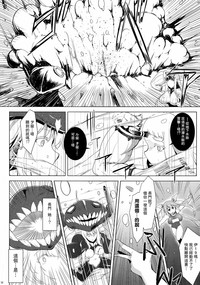 第33頁圖