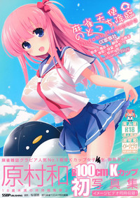 第1頁圖