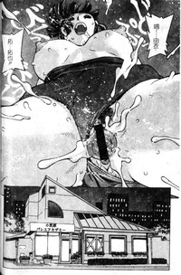 第29頁圖