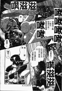 第33頁圖