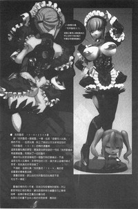 第217頁圖