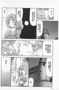 第29頁圖